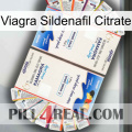 Viagra Sildenafil Citrate kamagra1